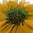 Decorative 3D Flower Throw Pillow Accent Round Pillow Insert Included-99863941