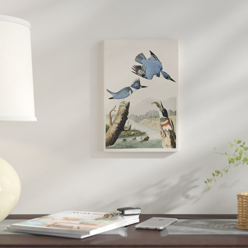 « belted kingfisher », impression sur toile, H 12 po x l 8 po x P 0,75 po, Toile tendue, Pas de tapis