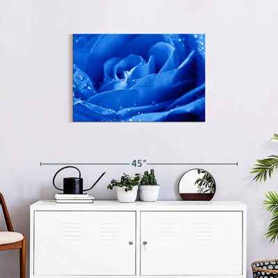 Harnek Dewy - rose bleue