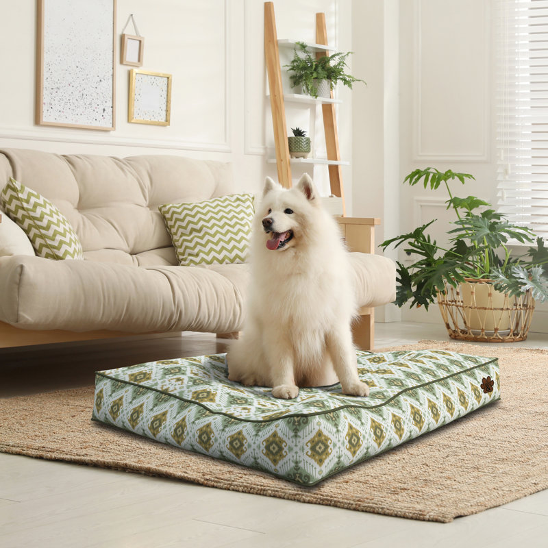 Matelas orthopédique pour chien Demita, Grand (l 35 po x P 27 po x H 4 po)