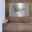 «Stallion II Horizontal» par James Wiens