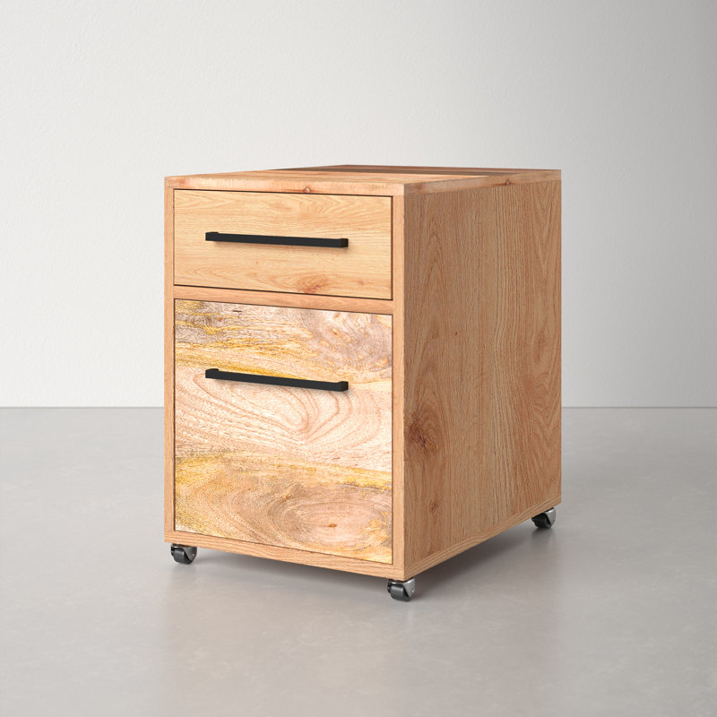 Ascent 2-Drawers Mobile Vertical Filing Cabinet