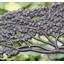 100% Cast Iron Bench with Tree Theme