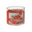 Ensemble de 2 bougies 14 oz 3 Wick Jar