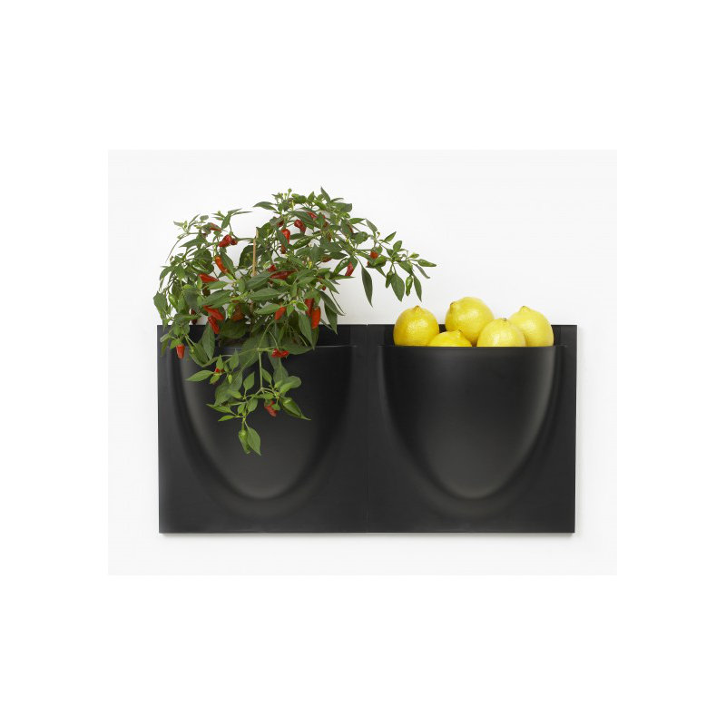 Wall Planter, Black