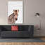 «Baby Zebra» par Tai Prints-457417247