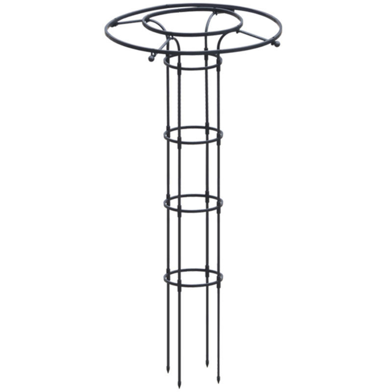 Cerellia 150cm H x 25cm W