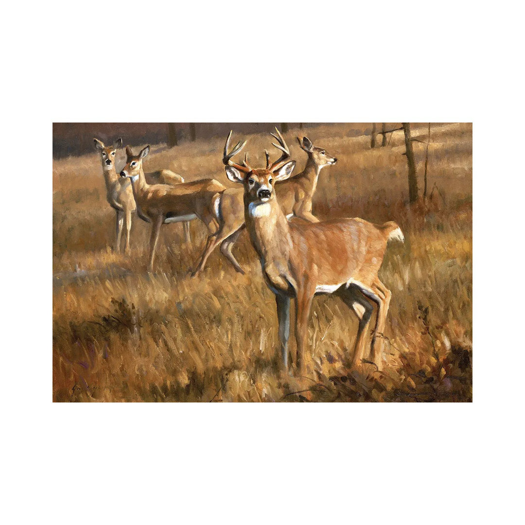 Whitetail Deer von Grant Hacking - Giclée auf Leinwand ohne Rahmen in der Galerie