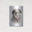 Art mural en métal Winston Porter «Dog Portrait 1» par Katrina Pete-897113347