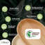 Assiette plate Palm Leaf
