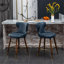 Ensemble de 2 tabourets de comptoir Nevis Mid-Century