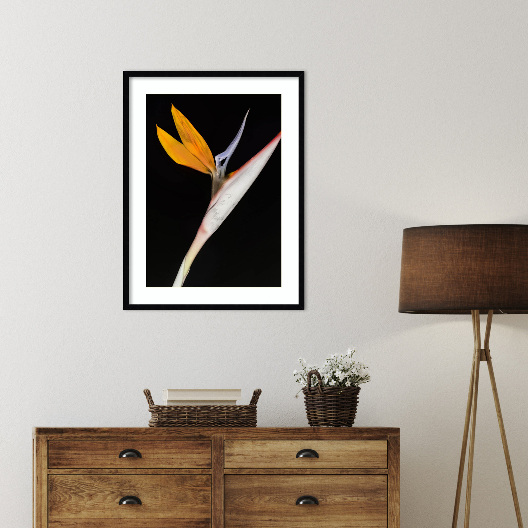 Bird of Paradise by Shot by Clint Wood Framed Wall Art Print, 33" H x 25" W, Black