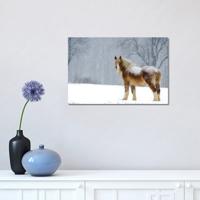 Belgian Snow II 1 Piece Wrapped Canvas Wall Art