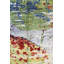 Tapis unique rouge en laine 9 pi 10 po x 13 pi 6 po One Age of a Kind Kind