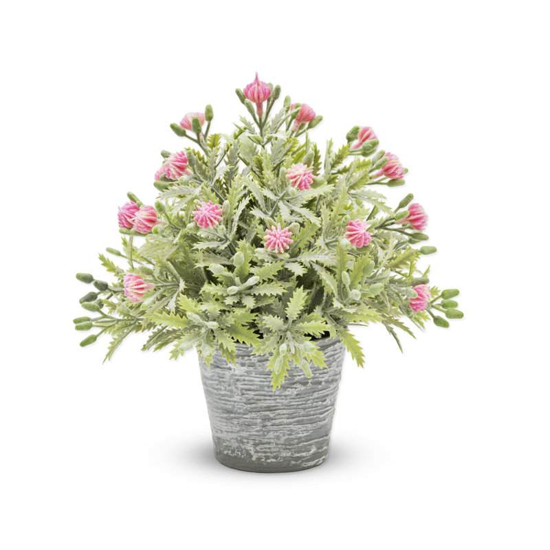 Delicate Fruit In Pot, Red