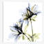 «Azalea I», impression sur toile-29686451-74403242-74403237