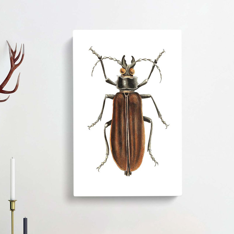 Beetle by George Shaw - Wrapped Canvas, 50cm H x 35cm W x 3cm D
