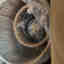 Photos des clients 1 de 1