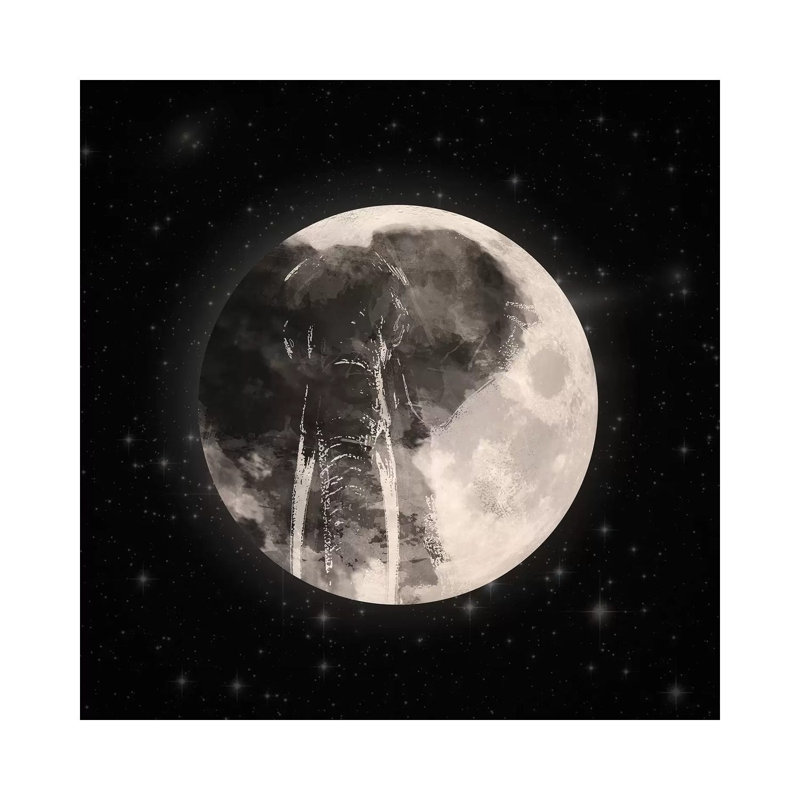Elephant In The Moon by Paula Belle Flores - Wrapped Canvas Print, 45.72 cm H x 45.72 cm W x 1.91 cm D