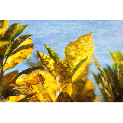 Soleil vers II