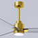 Alessandra - Three Blade Transitional Ceiling Fan -LED