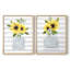«Sunflower Perfume I», reproduction encadrée de qualité supérieure - prête à être accrochée - aucun clou requis - aucun clou requis-653762303-653762302