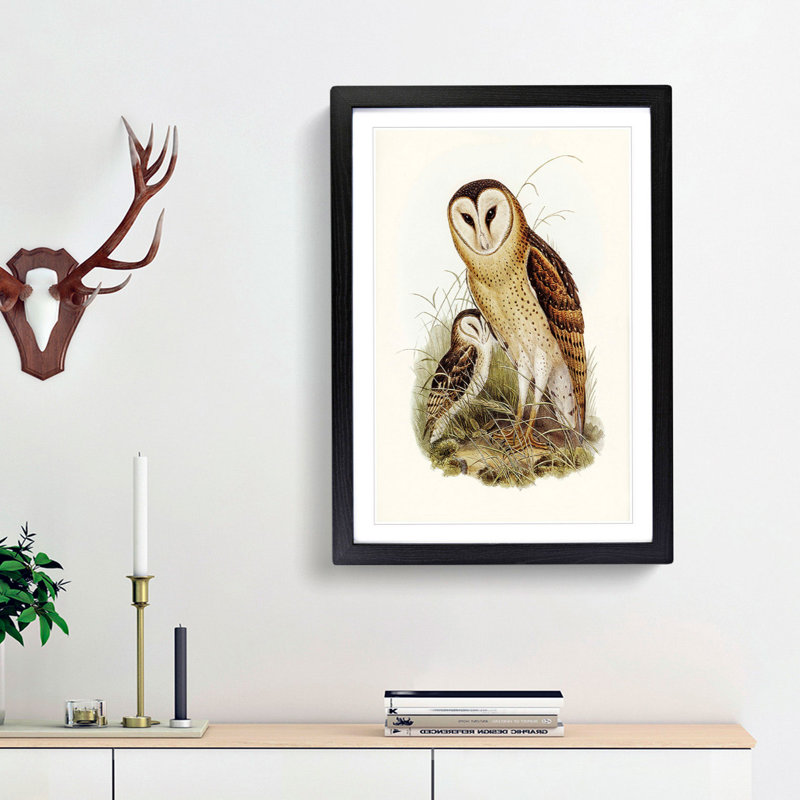 Grass-Owls by Elizabeth Gould - Picture Frame Art Print, 65cm H x 48cm W x 2cm D, Black Framed