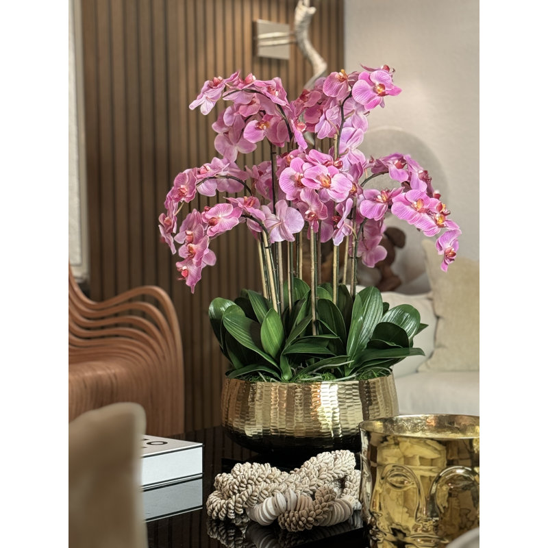 Roberi Orchid Arrangement in Planter, 38" H x 22" W x 22" D