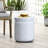 Outdoor Concrete End Table