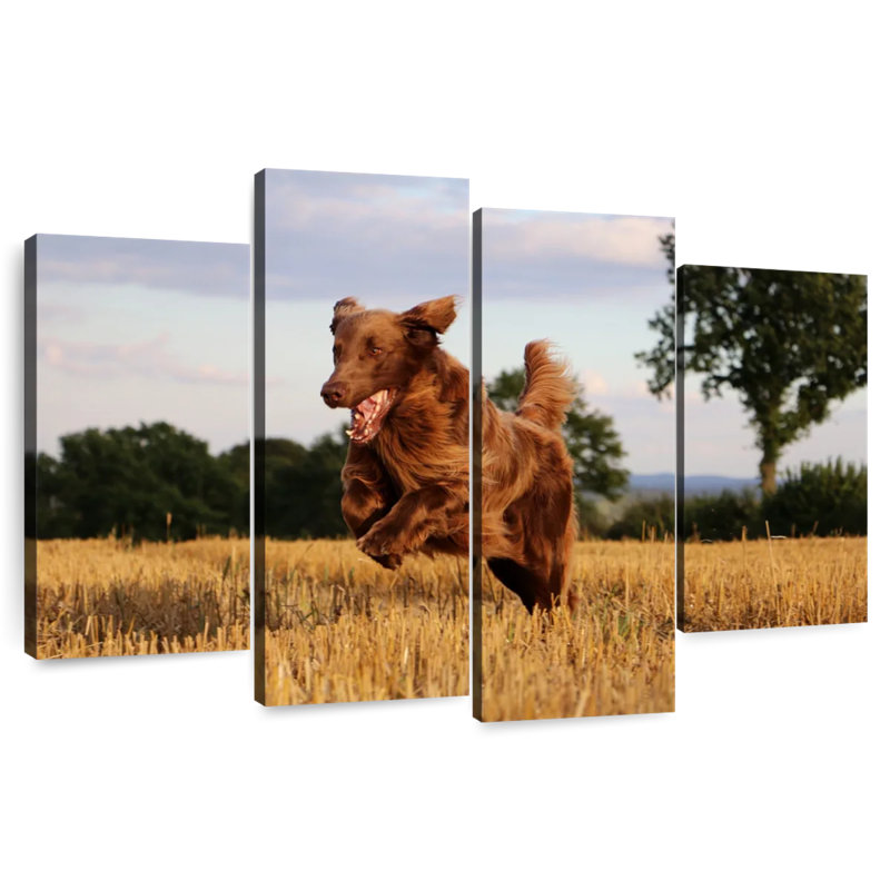 Brampt Happy Brown Retriever, 27"H x 43"W