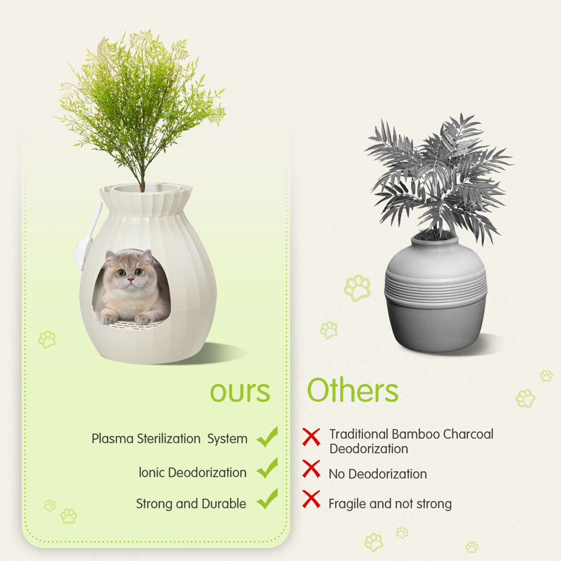 Get Everything You Need