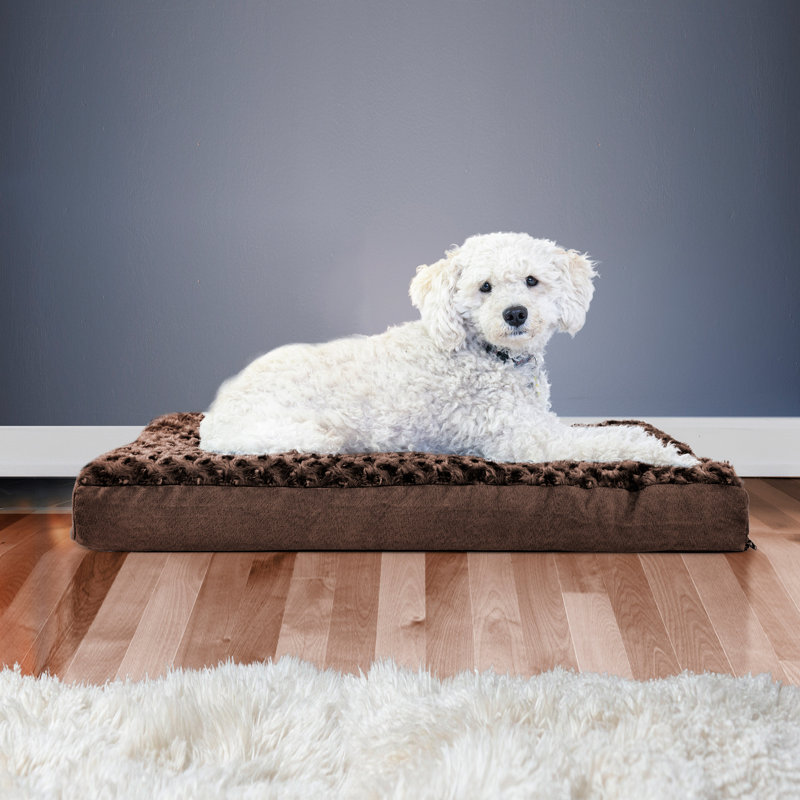 Medium Chocolate Orthopedic Foam Pet Bed