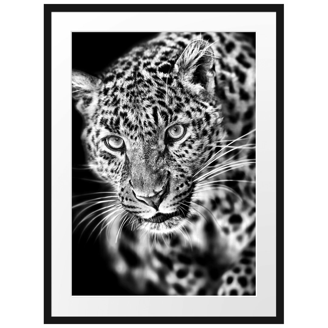 Anmutiger Leopard Gerahmter Kunstdruck Poster