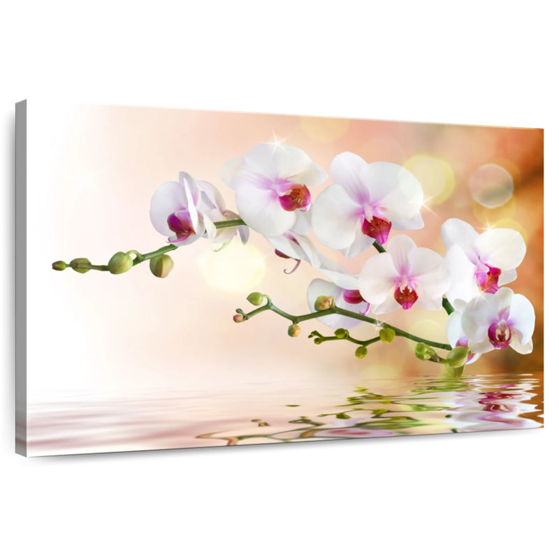 Orchidée Harnek sur l'eau, H 30 po x l 45 po