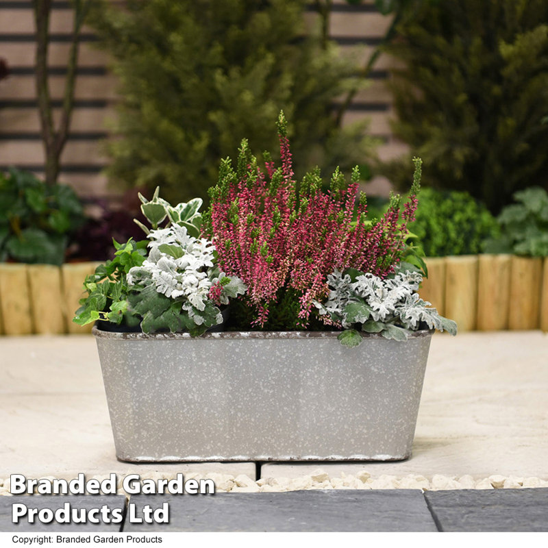Cassander Planter Box
