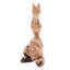 Figurine en bois hippocampe Urbana