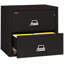 Fireproof 2 - Drawer File Cabinet-331546-217199