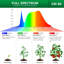 Naomi Grow Light