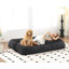Lit double pour chien humain, canapé paresseux, causeuse, s'adapte à vous et aux animaux de compagnie, très grand canapé de plancher, peut s'asseoir ou s'allonger, position réglable 2 en 1,5, coussin gonflable, 2 sièges, chenille-129513212
