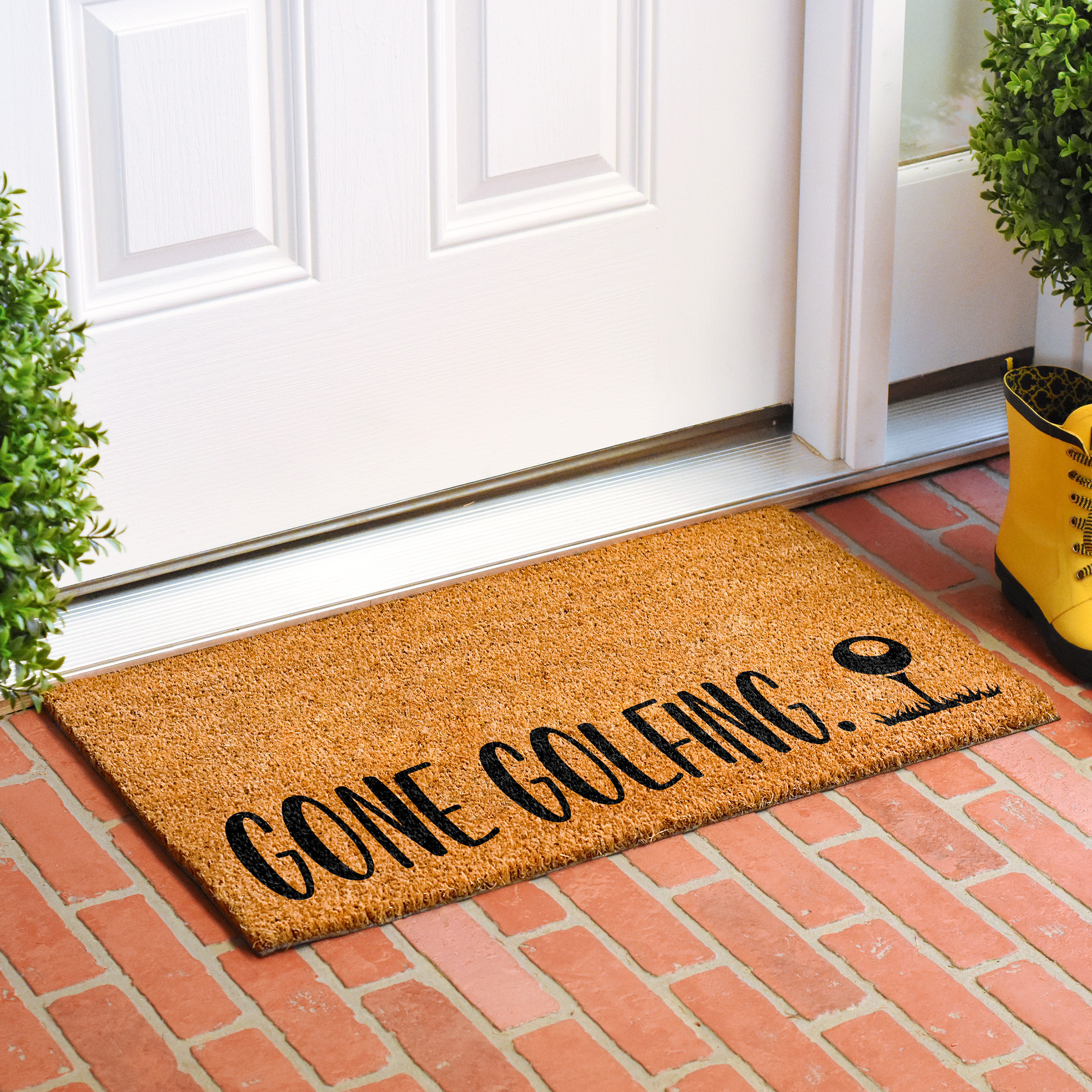 Ederick Non-Slip Door Mat Trinx Mat Size: 36 W x 72 L