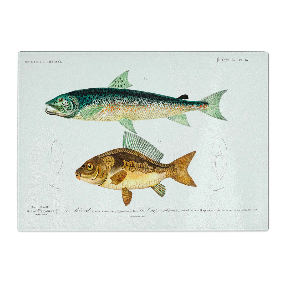Tempered Glass Fish Illustrations PL. 15 by Charles D' Orbigny Chopping Board