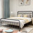 Hidalgo Metal Platform Bed-118303752-118303755