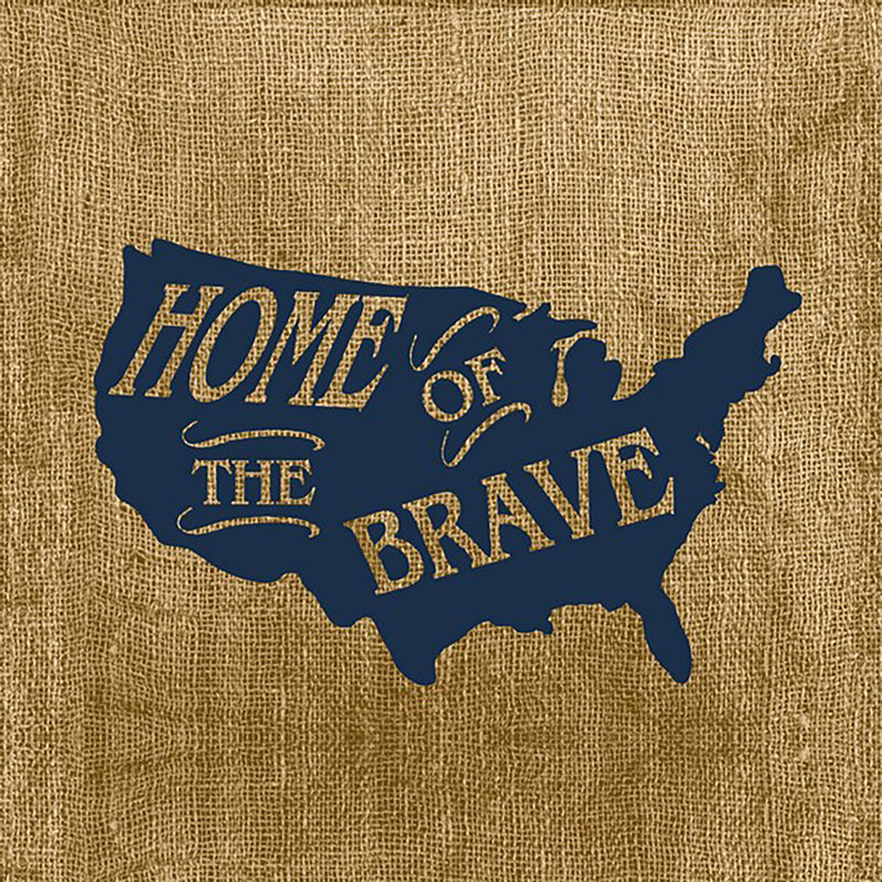 16" x 16" Outdoor Throw Pillow