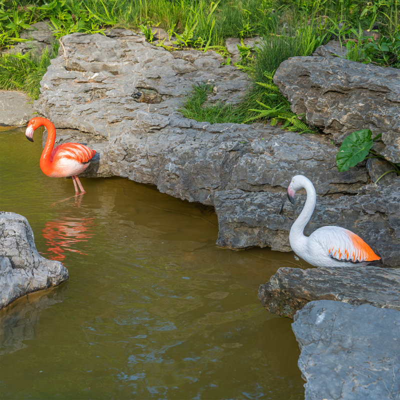 Flamant rose