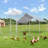 Deryck 130 Square Feet Walk In Chicken Run For Up To 13 Chickens