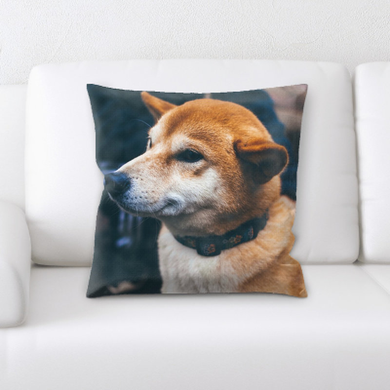 Coussin pour chien