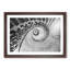 Spiral Staircase - Picture Frame Painting Print-56705267-56705272
