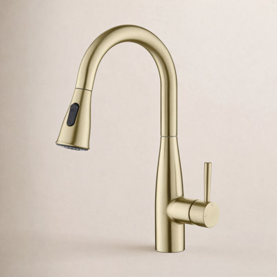Bari Pull-Down Faucet with Soap Dispenser