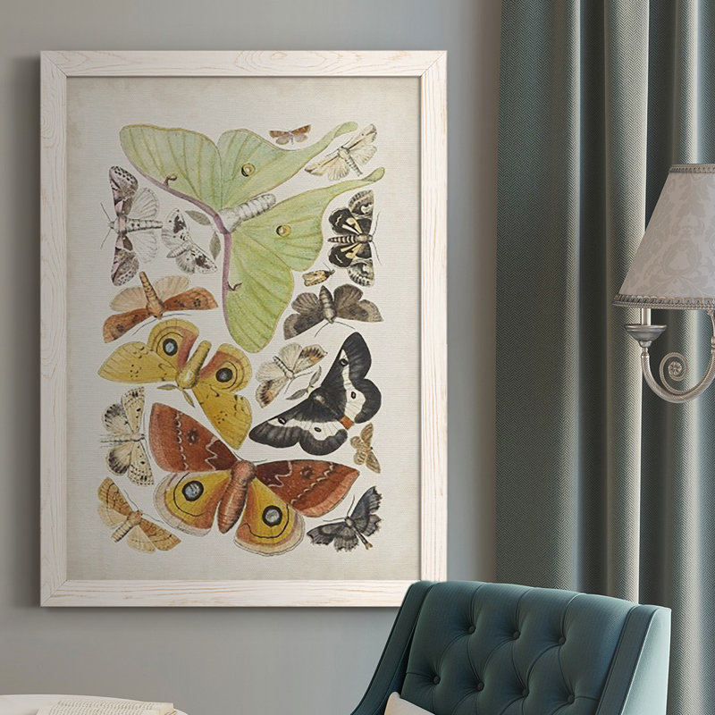 Papillons antiques I, Blanc, H 37,5 po x l 27,5 po x P 1 po
