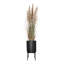 77 po Faux Pampas en pot